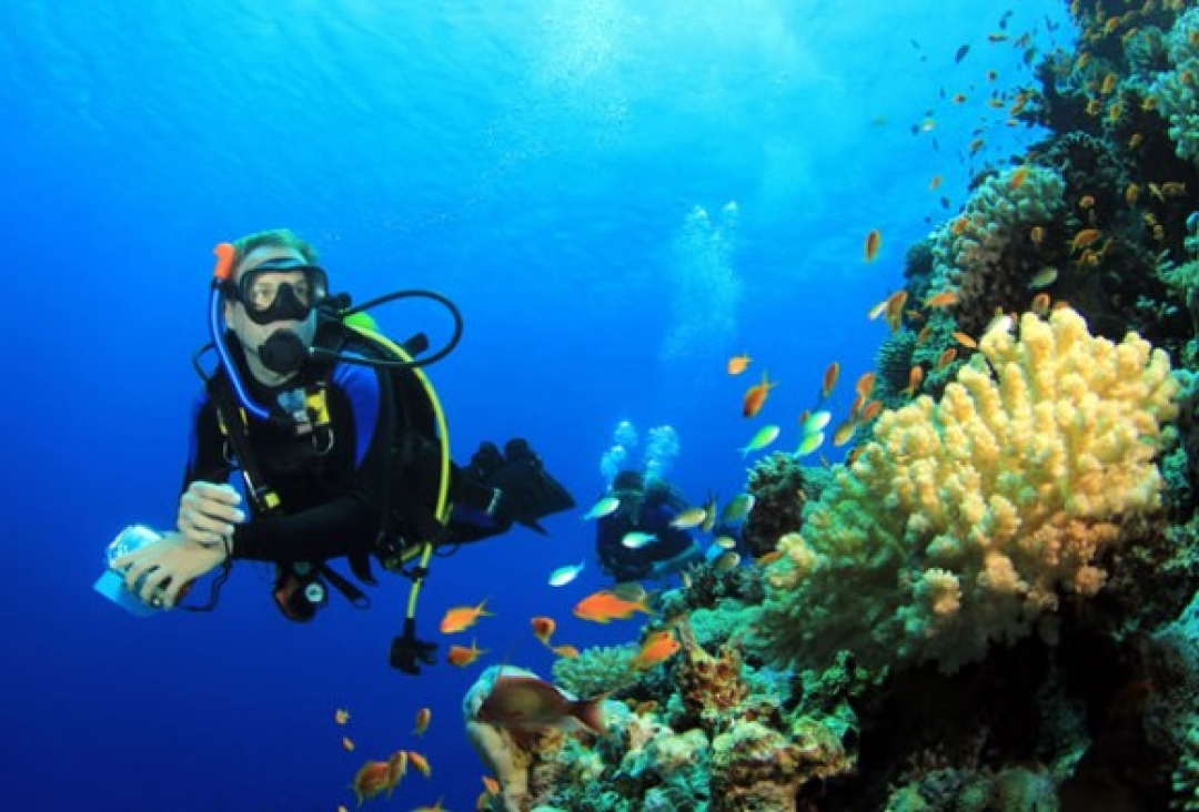 Diving in Puerto Galera